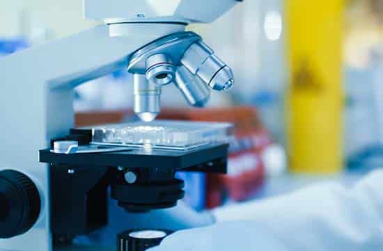 Image depicting Endocrinology at PDS Inc