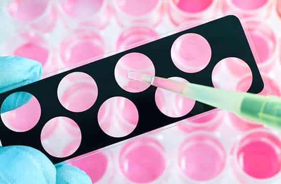 Image depicting Immunology / Serology / Virology at PDS Inc