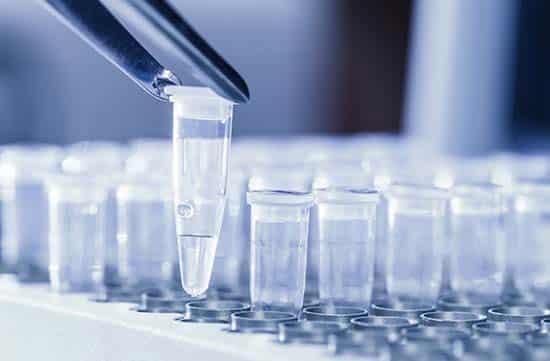 Image depicting Molecular Diagnostics at PDS Inc